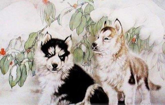 Top 3 con giap tai van tang cao, quy nhan chieu co 2 nam toi