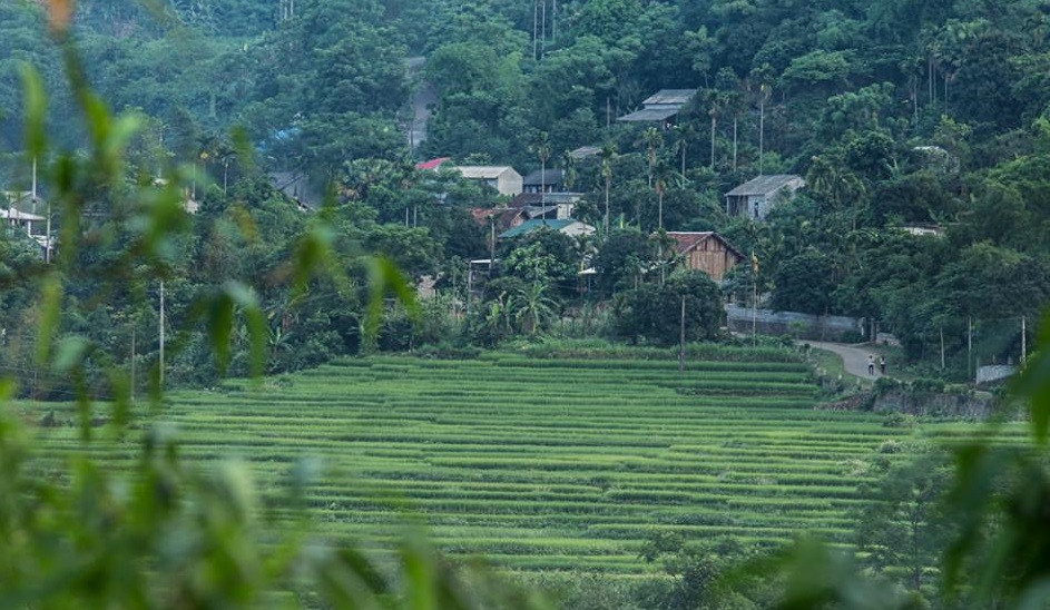 Biet gi ve Cty Dai Lam dau tu KDL Thac Bac Long Cung 38 ha o Hoa Binh?