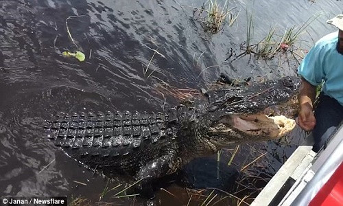 Lieu mang dua tay ra de nhu ca sau hung du
