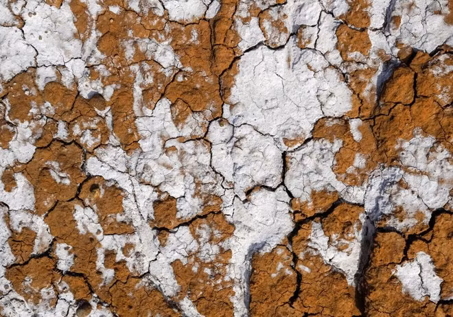 Tại đây, các nhà cổ sinh vật học khám phá ra nhiều hóa thạch động vật, từ tê giác tới rùa cổ đại, trong đó nhiều hóa thạch đã hàng triệu năm tuổi. Tuy nhiên, điều bí ẩn nhất ở Altyn-Emel chính là đồi cát biết hát.