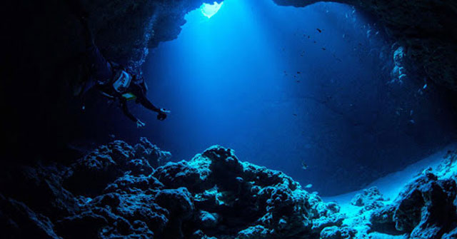 Khu vực xung quanh rãnh là nơi đáng chú ý với nhiều môi trường độc đáo, bao gồm các miệng phun thủy nhiệt giải phóng lưu huỳnh và carbon dioxide (CO2) lỏng, những ngọn núi lửa bùn đang hoạt động và sinh vật biển thích nghi với áp suất tương đương với trọng lượng của 48 máy bay phản lực.