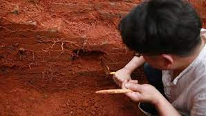 Các nhà khảo cổ cho rằng việc phát hiện quần thể lăng mộ có giá trị học thuật lớn, đồng thời cho biết thêm rằng có thể giúp các nhà nghiên cứu hiểu rõ hơn về hoạt động an táng trong thời kỳ này, và cung cấp thông tin quan trọng cho nghiên cứu về Văn hóa Long Sơn.