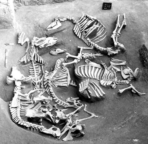 Khu di tích thuộc thành phố Lạc Dương nói trên có diện tích hơn 600.000 m2.