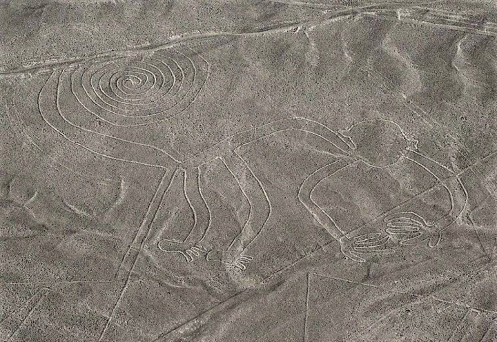 Một trong số các giả thuyết cho rằng, người Nazca đã tạo ra chúng để được các vị thần chú ý đến.