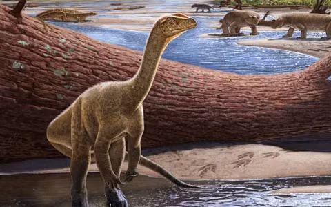 Nhóm khoa học gia từ Đại học Brimingham và Bristol (Anh), Đại học Friedrich-Alexander Erlangen-Nurnberg (Đức) và Đại học São Paulo (Brazil) đã dựng lại mô hình về các điều kiện khí hậu toàn cầu quanh "mốc tử thần" 201 triệu năm trước, bao gồm nhiệt độ, lượng mưa và dữ liệu các loài.