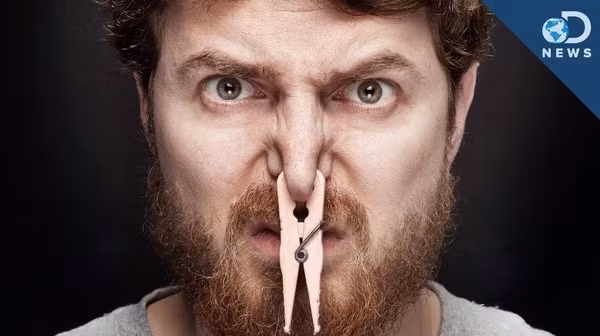  5. Bạn có thể ngửi được cả hệ miễn dịch của người khác: Các bạn đã từng nghe đến cụm từ "mùi của người già" bao giờ chưa? Đó là cụm từ nhiều người sử dụng để chỉ mùi không lẫn đi đâu được khi tiếp xúc với người già.