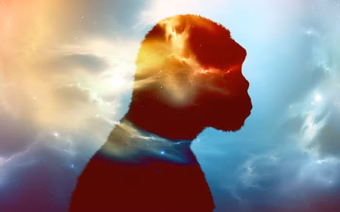 Để đi tới phát hiện này, các nhà nghiên cứu đã phân tích bộ gen của hơn 400 người từ 4 quần thể sống ở Tây Phi, bao gồm người Yoruba và Mende. Sử dụng kỹ thuật xác lập mô hình máy tính, họ phát hiện ra rằng có khoảng từ 2 - 19% mã gen di truyền của quần thể được lấy từ một nguồn không xác định được.