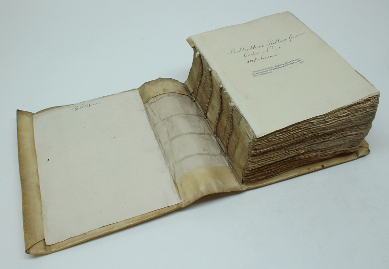 Hodgkinson lưu ý, những dấu vết không có mực - được gọi là "điểm khô" đã được phát hiện trong các bản viết tay thời trung cổ khác, nhưng chúng thường chỉ bao gồm các dấu thập đơn giản để làm nổi bật các phần của văn bản.