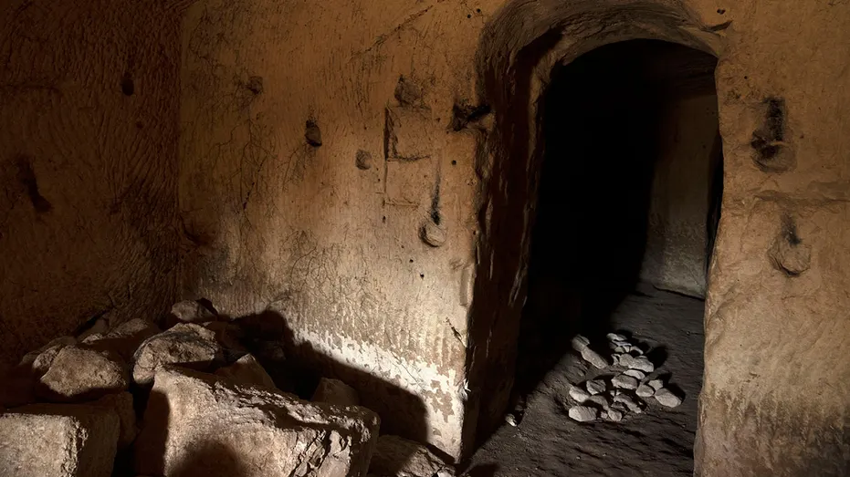 Câu chuyện về bà đỡ Salome được kể trong Phúc âm James, được các Kitô hữu coi là ngụy tạo - có nghĩa là tính xác thực của nó bị nghi ngờ - và nó không xuất hiện trong Tân Ước.