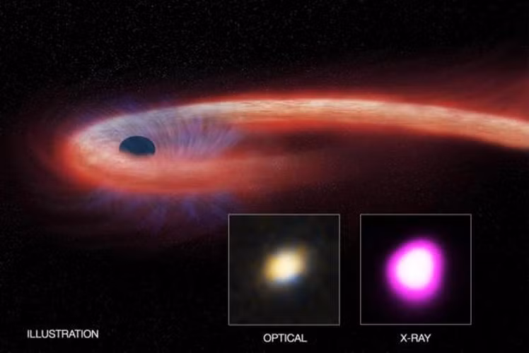 Ngay lập tức siêu kính viễn vọng VLT của ESO đang đặt tại sa mạc Atacama của Chile nhảy sang kiểm tra. Cuối cùng, đã có tới tận 21 kính viễn vọng "tham chiến" để tìm hiểu bản chất của sự việc.