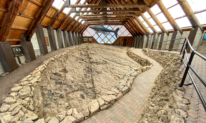 Một cách bí ẩn, chúng tề tựu về địa điểm này dường như chỉ để chết. Hiện tại khu đất thuộc địa phận Rừng Quốc gia Humboldt-Toiyabe, tọa lạc nơi dãy núi Shoshone phía Trung Tây Nevada, cạnh một thị trấn khai thác mỏ bỏ hoang từ lâu, khiến nó nhuốm thêm màu ma quái.