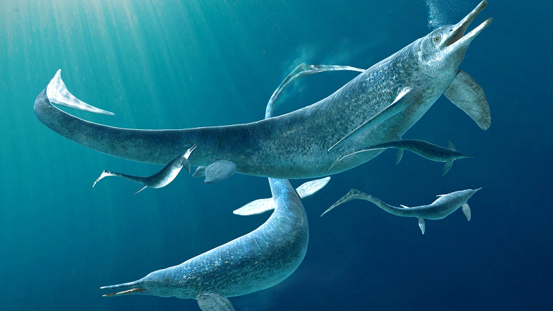 Nhà săn lùng hóa thạch Mary Anning đã phát hiện ra hóa thạch hoàn chỉnh đầu tiên của một con ngư long ở vách đá gần Lyme Regis, Dorset, năm 1810. Phát hiện của bà làm rung chuyển cả giới khoa học và đã cung cấp bằng chứng cho những ý niệm mới về lịch sử Trái Đất.