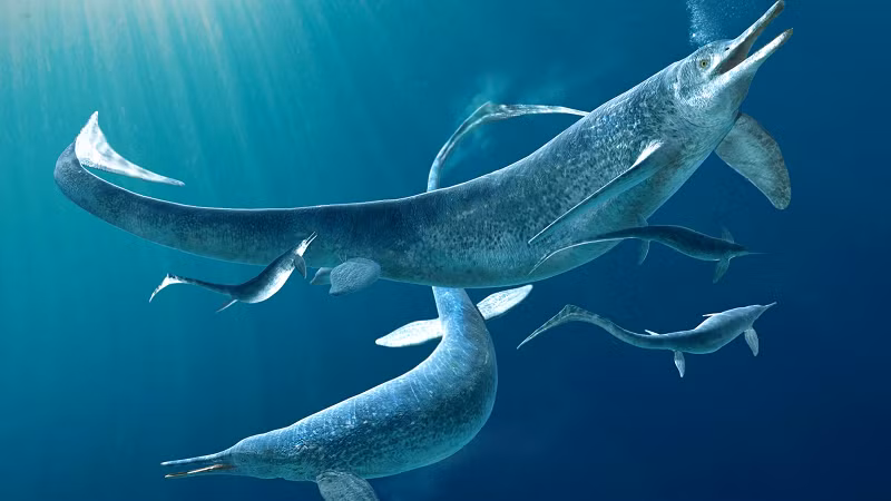 Nhà săn lùng hóa thạch Mary Anning đã phát hiện ra hóa thạch hoàn chỉnh đầu tiên của một con ngư long ở vách đá gần Lyme Regis, Dorset, năm 1810. Phát hiện của bà làm rung chuyển cả giới khoa học và đã cung cấp bằng chứng cho những ý niệm mới về lịch sử Trái Đất.