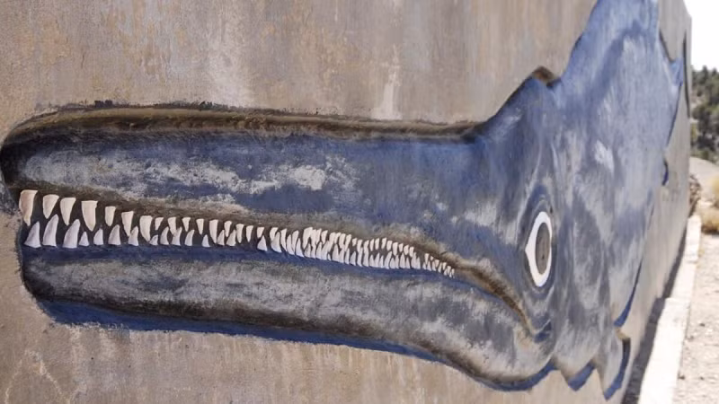 Để chắc chắn thêm về các giả thuyết khác gây ra cái chết của hàng loạt quái vật cổ đại này, họ cũng kiểm tra các khoáng chất trong đất và không phát hiện bất kỳ dấu hiệu nào của núi lửa phun trào hay những thay đổi môi trường đủ gây chết hàng loạt. Chúng cũng bỏ mạng ở nơi khá xa bờ biển cổ đại, nên không phải chết do một vụ lao lên bờ hàng loạt.