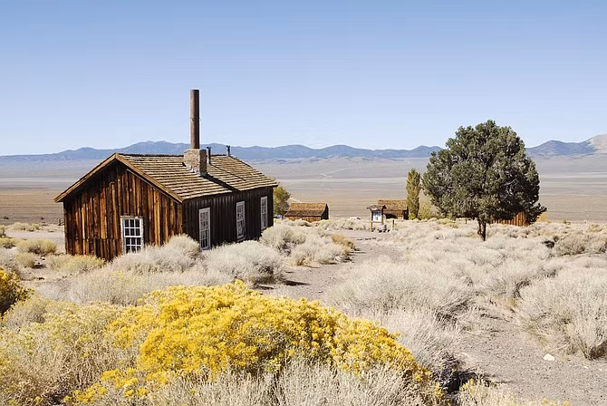 Nhóm nghiên cứu dẫn đầu bởi nhà cổ sinh vật học Randy Irmis từ Đại học Utah (Mỹ) đã tìm thấy một số xương nhỏ hiếm hoi giữa hàng đống xương hóa thạch khổng lồ tại Công viên bang Berlin-Ichthyosaur, điều có thể giúp lý giải về "nghĩa địa quái vật" nổi tiếng ở nơi đây.