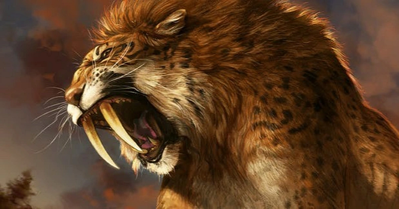 Theo nghiên cứu, hổ răng kiếm sống trong những môi trường sống khép kín như bụi rậm và rừng rậm giúp chúng có thể ẩn náu và rình rập để tấn công con mồi. Mặc dù vẫn chưa xác định được liệu hổ răng kiếm có phải là sinh vật xã hội hay không, nhưng nhiều khả năng chúng đã cư xử tương đương với sư tử hiện đại .