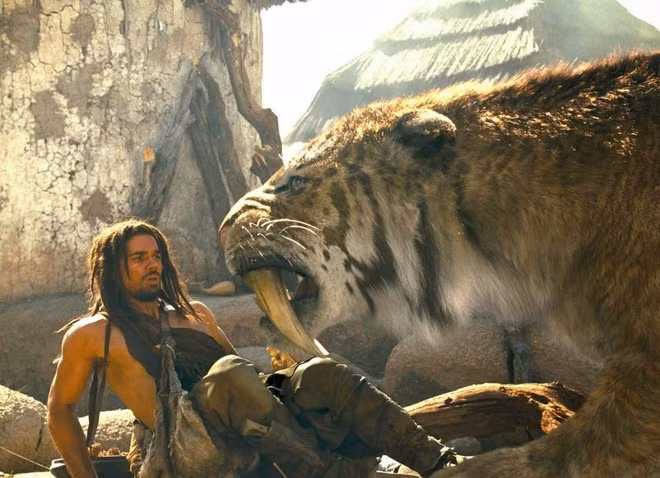 Theo các nghiên cứu, răng của hổ răng kiếm mọc nhanh hơn 2 lần so với hầu hết các loài mèo hoang dã hiện nay. Khi được 3 tuổi, chúng đã thay răng sữa bằng những chiếc răng nanh đã phát triển đầy đủ có thể dễ dàng xé thịt.