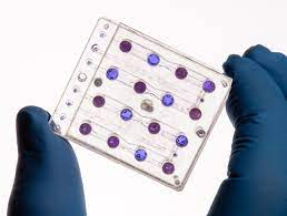 Trong khi Artemis I chuẩn bị cho cuộc trở lại của con người thì BioSentinel âm thầm dùng Mặt Trăng để lấy đà tiến sâu vào không gian.