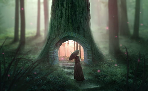 Một thời gian sau, Alex gửi một trong những hòn đá kỳ lạ thu nhặt ở nơi bí ẩn cho một nhà địa chất học là Tiến sĩ Sinclair để phân tích thành phần. Nhà khoa học này cũng bối rối không biết chúng thuộc chủng loại đá nào.