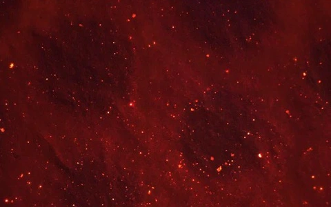 Những hạt tí hon này là polyethylene terephthalate (PET), một loại nhựa thường được dùng làm chai nước và đồ đựng thực phẩm.