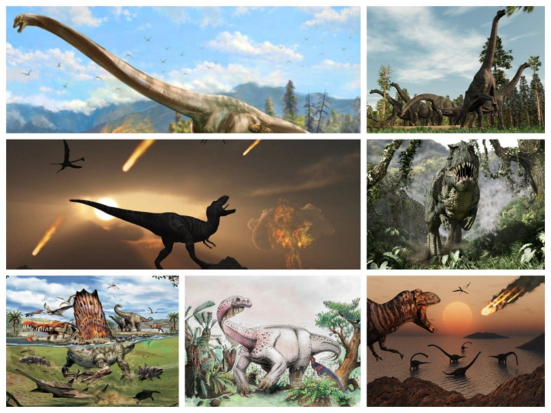 Sự tuyệt chủng hàng loạt vào cuối kỷ Phấn trắng đã quét sạch khoảng 75% các loài hóa thạch đã biết hầu như chỉ sau một đêm. Không chỉ tất cả các loài khủng long không phải chim đều tuyệt chủng, mà sự tuyệt chủng hàng loạt còn tiêu diệt cả thằn lằn, động vật có vú và nhiều sinh vật khác.