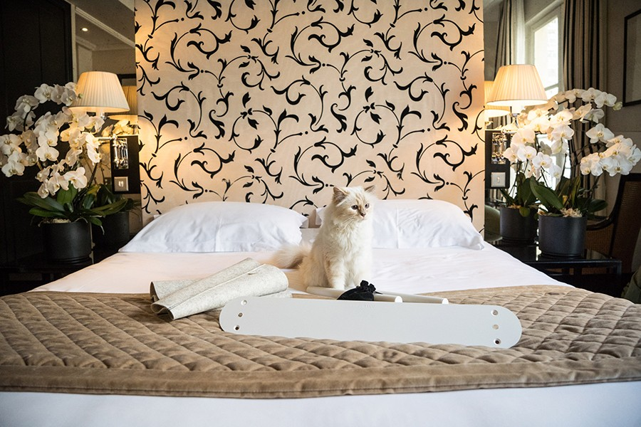 Với khối tài sản kếch xù, Lagerfeld không ngần ngại chi trả một khoản tiền lớn cho Choupette. Ông sắm hẳn phòng ngủ riêng, đồng thời thuê 2 người giúp việc chăm sóc 24/24 cho nàng mèo cưng của mình.