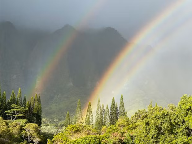 Sự thay đổi dự báo nhiều rủi ro và nguy hiểm. Cầu vồng sẽ xuất hiện nhiều hơn ở Bắc Cực vì mưa tuyết sẽ ít đi do Trái Đất nóng lên, thay vào đó là "những giọt nước" to làm tăng độ sáng của các vòng cung.