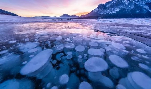  2. Bong bóng khí đóng băng: Những bong bóng nổi dưới lớp băng dày đã tạo thành một hiện tượng thiên nhiên độc đáo khiến nhiều người thích thú nhưng câu chuyện về cách chúng hình thành lại không được đẹp như vậy. Theo đó, những bong bóng khí này hình thành khi các vi khuẩn ăn vật chất phân hủy dưới đáy hồ và giải phóng khí mê-tan tạo nên các bong bóng.