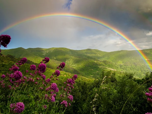  1. Cầu vồng: Từ lâu, cầu vồng vốn được biết đến là biểu tượng của tương lai rạng rỡ, niềm hy vọng, sự may mắn. Thế nhưng trong nhiều nền văn hóa, cầu vồng báo hiệu điềm gở thay vì điềm lành. Và dưới con mắt của các nhà khoa học, cầu vồng có liên quan đến sự biến đổi khí hậu.