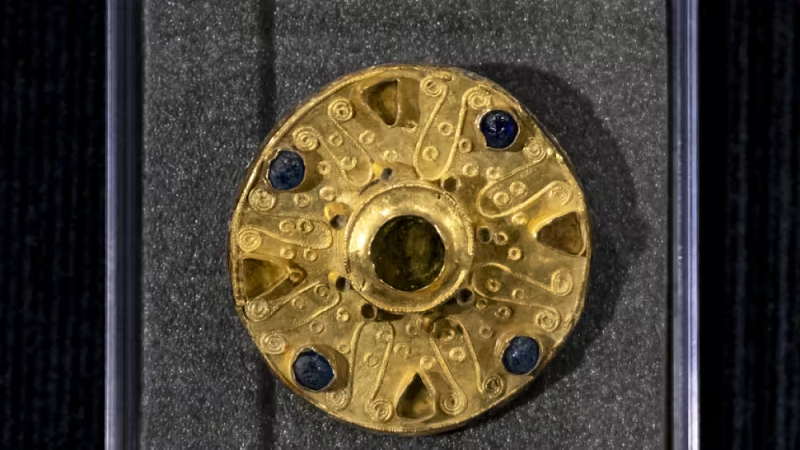 Bề mặt chiếc ghim từng gắn 17 hạt thủy tinh xanh lam và đá garnet xanh lục, cho thấy địa vị xã hội cao quý của chủ nhân ngôi mộ. Các nhà khảo cổ cho rằng gia đình cô gái có thể sở hữu đất ở vùng Kleinbasel khoảng 1.400 năm trước.