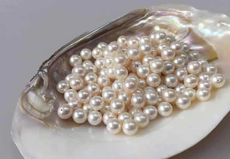 Ngọc trai (tên khoa học là Pearl) là một loại đá quý có một không hai khi là loại ngọc duy nhất được tạo ra từ một sinh vật sống. Trong môi trường nước mặn, ngọc trai sẽ được sản sinh từ loài hàu biển. Còn môi trường như sông suối ao hồ, loại ngọc đẹp mắt này sẽ được lấy từ loài trai nước ngọt.