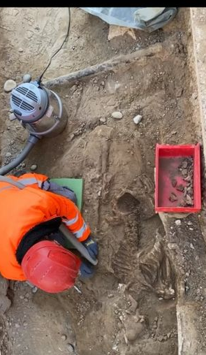 Ngoài ra còn có một dây đeo bằng da với mặt dây chuyền hổ phách lớn và những cây thánh giá nhỏ bằng kim loại.