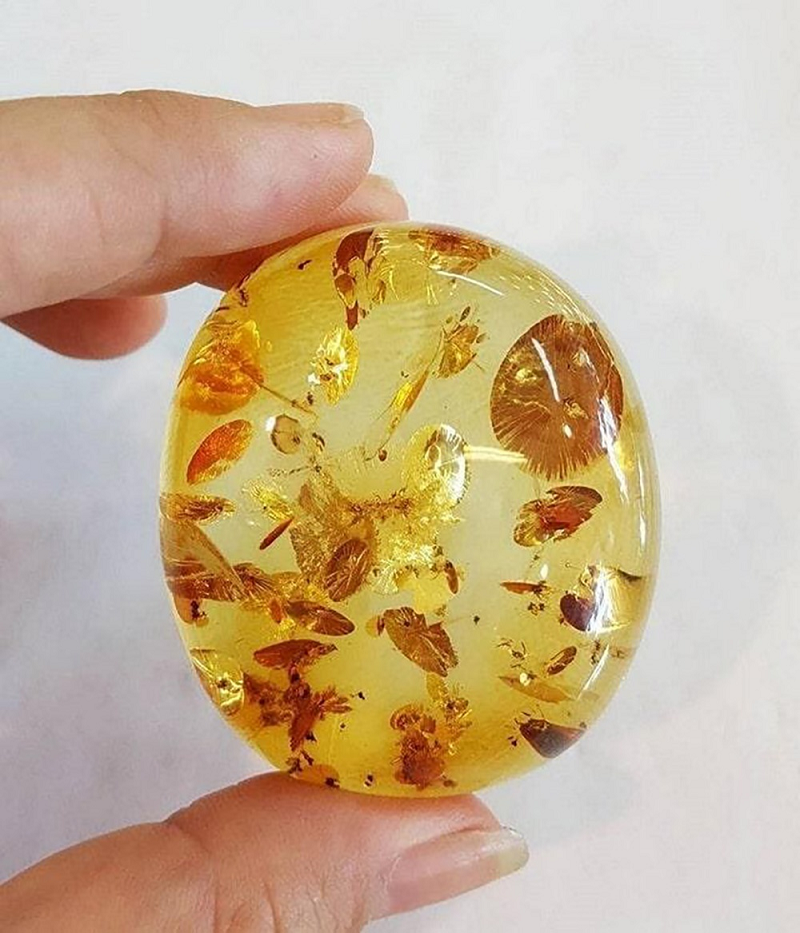 Hổ phách mang vẻ đẹp độc đáo, được sử dụng để chế tác thành những món đồ trang sức bắt mắt. Đeo trang sức hoặc mang hổ phách theo bên người sẽ giúp bạn giữ được nguồn năng lượng tích cực, gặp nhiều may mắn và chữa lành cơ thể.