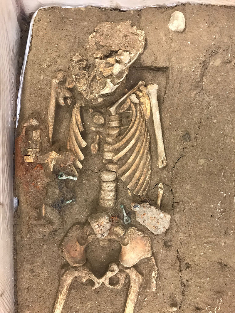 Chiếc ghim làm từ một tấm đế kim loại màu, bên trên phủ vàng. Nhiều khả năng nó từng dùng để cài một chiếc áo choàng quanh cổ người phụ nữ, nhưng chiếc áo giờ đã không còn. Loại vật dụng này gọi là ghim đĩa, được sử dụng trên khắp châu Âu vào đầu thời Trung cổ. Chúng được coi là kiểu ghim Anglo-Saxon phổ biến nhất.