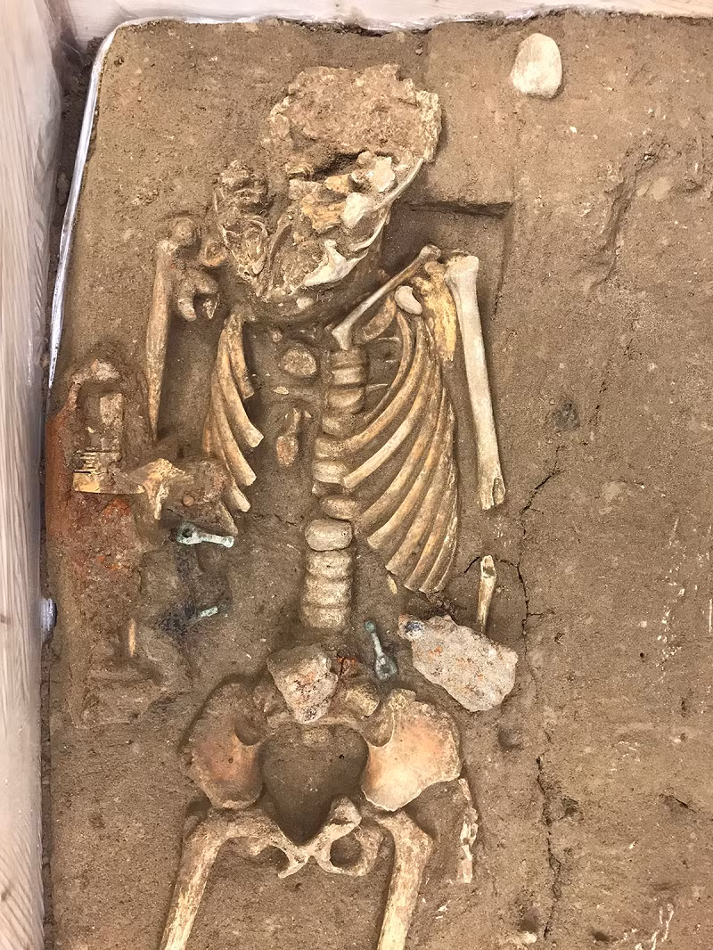 Chiếc ghim làm từ một tấm đế kim loại màu, bên trên phủ vàng. Nhiều khả năng nó từng dùng để cài một chiếc áo choàng quanh cổ người phụ nữ, nhưng chiếc áo giờ đã không còn. Loại vật dụng này gọi là ghim đĩa, được sử dụng trên khắp châu Âu vào đầu thời Trung cổ. Chúng được coi là kiểu ghim Anglo-Saxon phổ biến nhất.