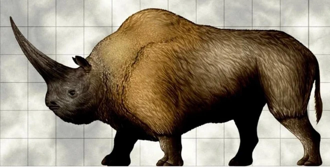 Giả thuyết thứ hai coi Elasmotherium là các sinh vật sống ven sông. Rất có thể là Elasmotherium sinh sống trong cả hai môi trường này. Các đặc trưng về bộ răng và hộp sọ hỗ trợ cho giả thuyết thứ hai.