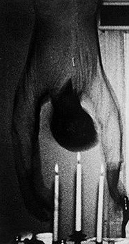 Do vậy, một số người cho rằng bóng người mờ ảo trong bức ảnh có thể là hồn ma người từng sống trong ngôi nhà. Tuy nhiên, có người nhận định bức ảnh được chỉnh sửa.