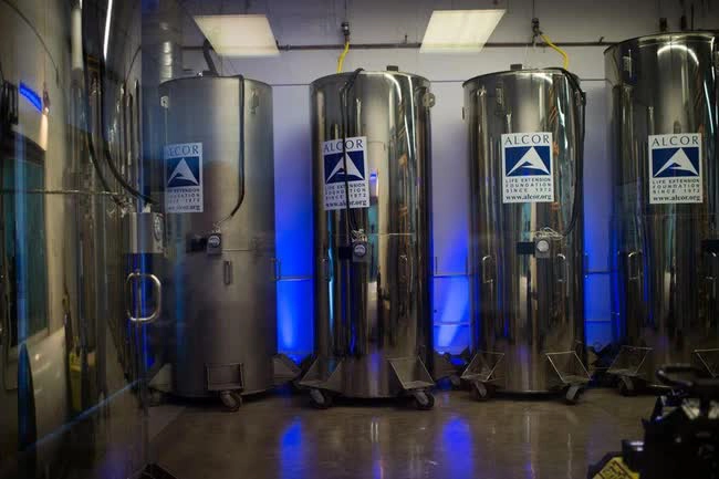 Theo phóng viên Liliana Salgado đến từ Reuters, tính đến nay, 199 người đã gửi đầu và thi thể để bảo quản bằng phương pháp đông lạnh ở cơ sở Alcor với hy vọng có thể hồi sinh trong tương lai.