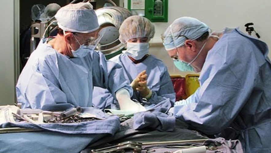 Năm 2016, nhóm nghiên cứu ở 21st Century Medicine bảo quản đông lạnh và rã đông não thỏ mà không gây tổn thương cấu trúc.