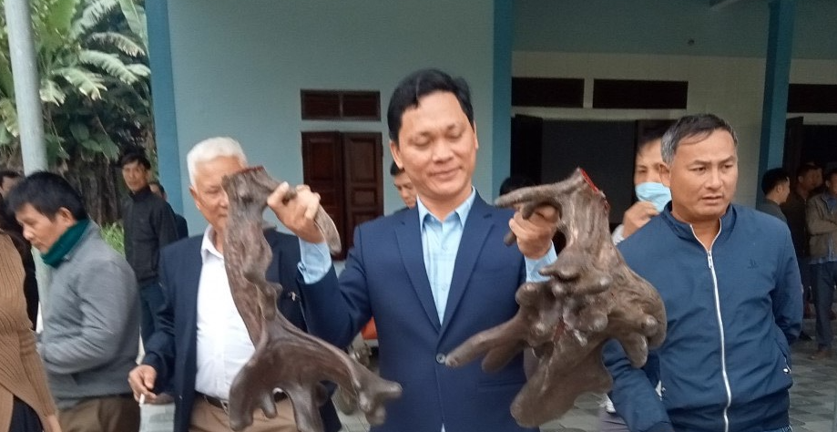 Sau khi nghe tin, một chủ cửa hàng ở Tx. Hoàng Mai đã đến tận nơi thu mua với giá gần 110 triệu đồng.