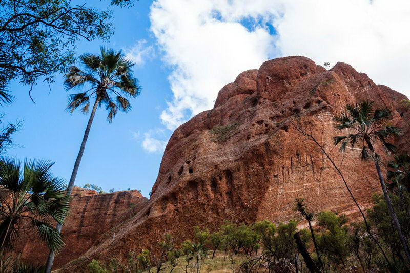 Nó chỉ được phát hiện cách đây không lâu, chính xác là năm 1983 thế nhưng mức độ nổi tiếng tăng vọt chỉ trong một thời gian ngắn.