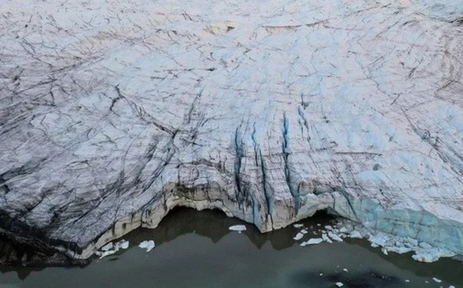 Khí hậu bất thường này cũng đã được so sánh với điều kiện ở các hồ dưới nước ở Nam Cực, nơi những loài tôm lạ và hải sâm đang phát triển mạnh.