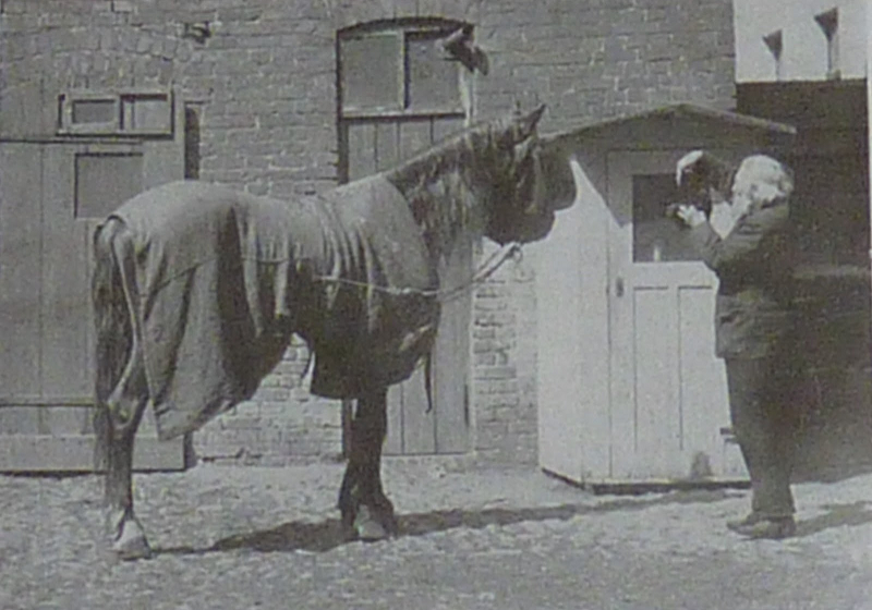 Đối với Hans, câu chuyện xoay quanh nó vẫn luôn là đề tài thảo luận của các nhà tâm lý học, họ vẫn chưa tìm ra nguyên nhân khiến chú ngựa này là nhanh nhạy với những con số đến vậy, chỉ biết rằng, khả năng đặc biệt của con ngựa Clever Hans do ông Wilhelm von Osten dày công huấn luyện trong nhiều năm.