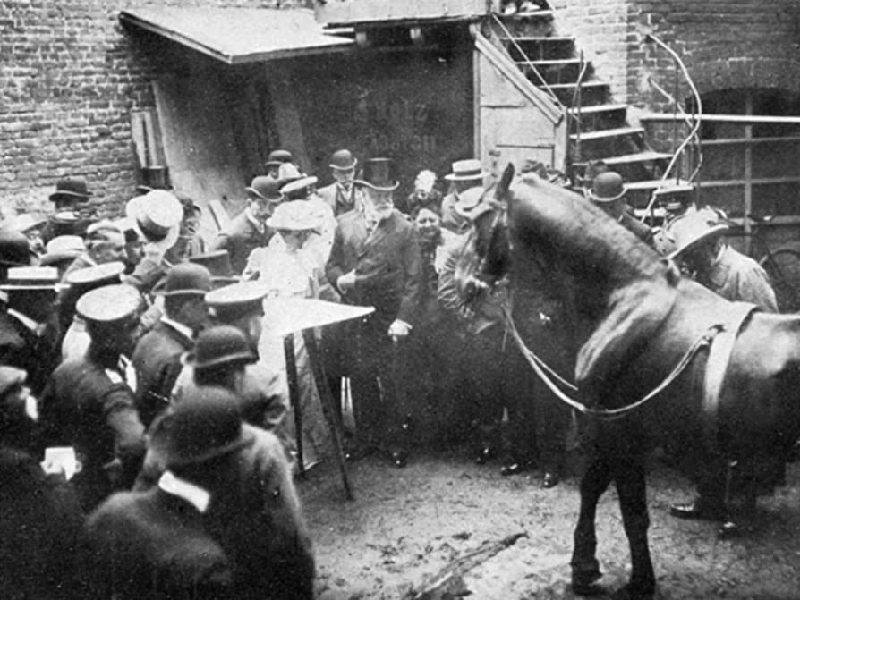 Mặc dù kết quả của Ủy ban kiểm tra không cho rằng Hans đặc biệt nhưng ông Wilhelm von Osten chẳng bận tâm đến chuyện đó, những cuộc biểu diễn của ông và Hans vẫn luôn cháy vé và khiến khán giả đi hết ngạc nhiên này đến ngạc nhiên khác.