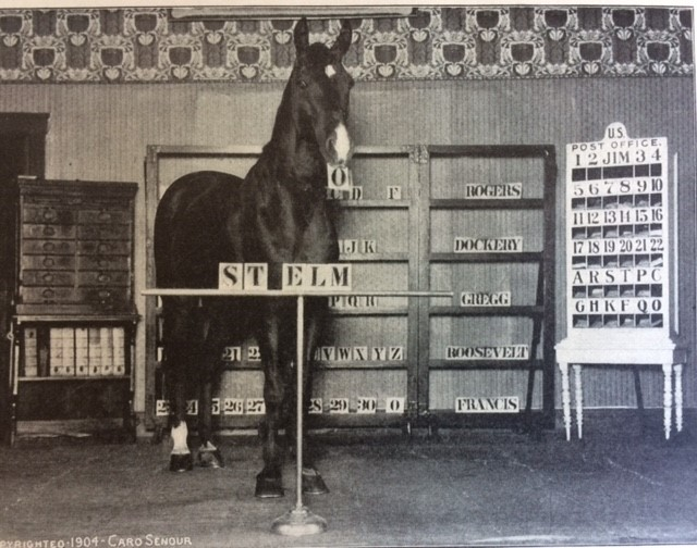 Trong quá trình điều tra, người ta cũng ghi nhận có những lúc cả thầy trò nhà Hans đã phát cáu. Các thành viên của Ủy ban kiểm tra thậm chí đã bị Hans cắn không ít lần.