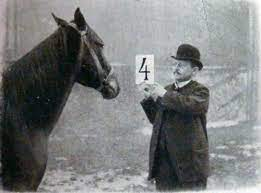 Ủy ban gồm 13 người đã tiến hành 4 bước kiểm tra bao gồm: Tách riêng Clever Hans cùng người chủ với khán giả để loại trừ sự trợ giúp của người thứ 3; thay thế ông chủ Von Osten bằng những người hỏi khác; dùng khăn bịt mắt Clever Hans; và kiểm tra khả năng Clever Hans đã được học thuộc câu trả lời từ trước.