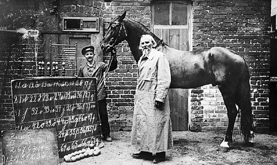 Vào năm 1891, màn biểu diễn của Von Osten William cùng với con ngựa tuyệt vời đã thu hút số lượng người xem lớn chưa từng thấy, đến nỗi nhiều người sẽ đi khắp thế giới chỉ để tận mắt chứng khiến những khả năng đặc biệt của Hans.