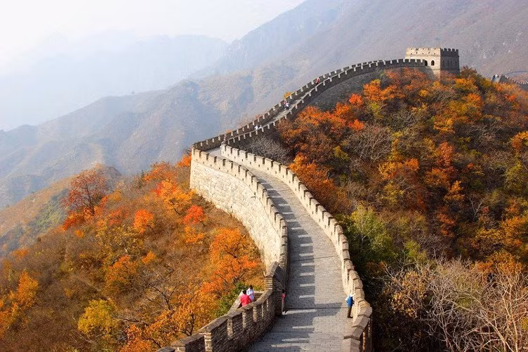 Toàn bộ Vạn Lý trường thành, bao gồm phần tường gạch, hào nước và các lá chắn tự nhiên (sông, đồi núi, …) có chiều dài tổng cộng lên tới 21.196 km – lớn hơn cả nửa chu vi Trái đất (20.028 km), và cao trung bình 7,8 m.