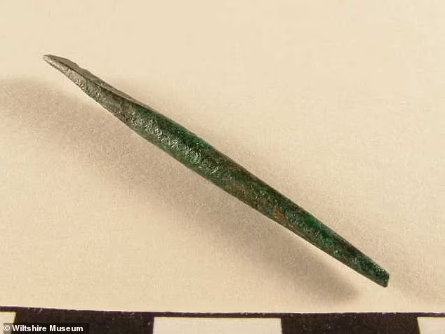 Thật kỳ lạ, những thứ này có niên đại từ thời kỳ đồ đá mới, nghĩa là chúng đã hàng nghìn năm tuổi vào thời điểm chôn cất.