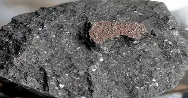 Thế nhưng nhiều thí nghiệm nhằm cố biến các hợp chất hữu cơ ban đầu thành cái gì đó có thể gọi là sự sống thực sự đã thất bại.